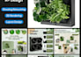 design high converting amazon listing images and infographics